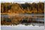 осень на Черном озере